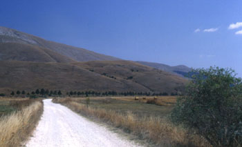 06c-5miglia