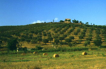 38c-argentario