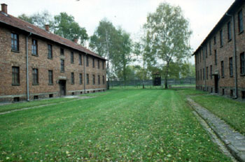 auschwitz90-08c