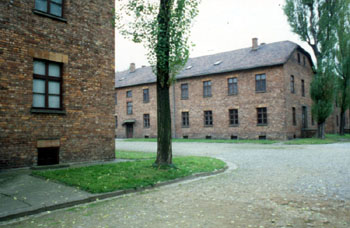 auschwitz90-11c
