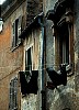 part016pannitrastevere.jpg