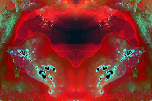 02_2009-09_daa-mr