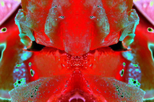05_2009-09_daa-mr