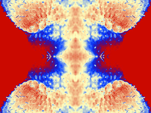 08_2009-09_daa-mr