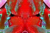 05_2009-09_daa-mr